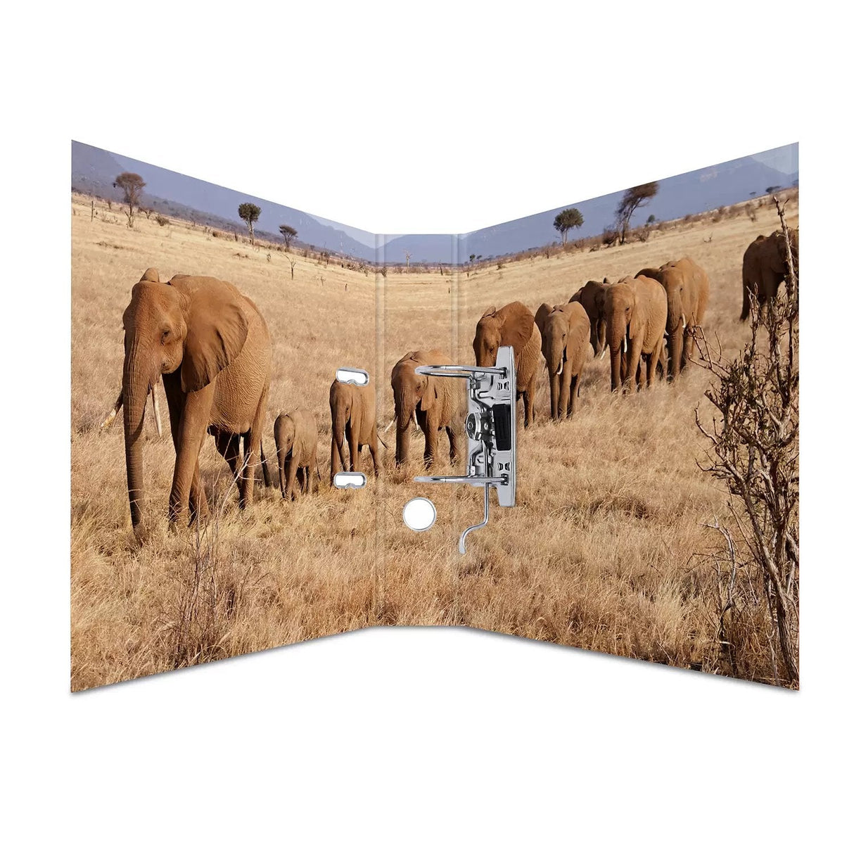 Herma Carpeta A4 Animales De África