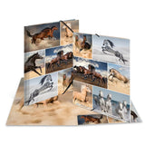Carpeta Herma A4 Caballos Cartón