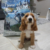 EAN 0074198612451 - Taste of the Wild Pacific Stream 2 kg Cachorro Bola, Salmón, Batata imagen 6