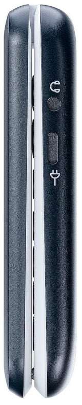 Doro 2820 4g, Grosstastenhandy, Aal (Ohne Netztei)