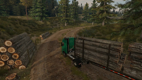 EAN 8718591189234 - SOEDESCO Truck Driver - Gold Edition imagen 30