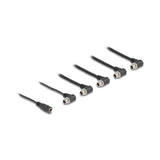 Delock Dc Splitter Cable 1 X Hembra Gerade A 5 X Hembra 5,5 X 2,1 Mm