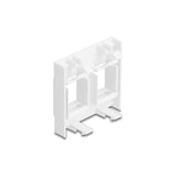 Delock Easy 45 Modulomit Zwei Keystone Halterungen 45 X 45 Mm, Blanco / Blanco