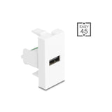 Delock Easy 45 Modulousb 2.0 Typ-A Hembra A Terminalblock Blanco