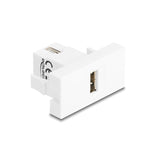 Delock Easy 45 Modulousb 2.0 Typ-A Hembra A Usb 2.0 Typ-A Hembra Blanco