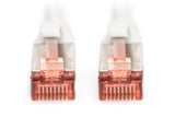 Digitus Cable De Red Awg27 Cat6 S/Ftp Lszh 1m Gris  Dk-1644-010