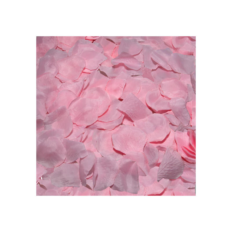 Diablo Picante - 100 Pétalos Rosa