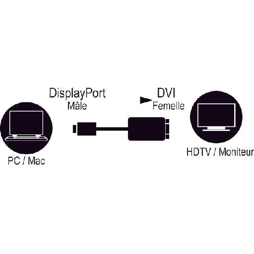 Displayport Male To Dvi Female