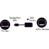 Displayport Male To Dvi Female