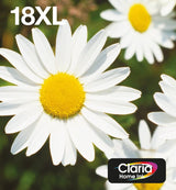 Epson Daisy Multipack 4-Colours 18xl Easymail