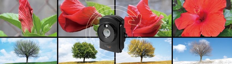 EAN 4260358124193 - Technaxx TX-164 1/2.7" Cámara compacta 2 MP CMOS 1920 x 1080 Pixeles Negro imagen 10