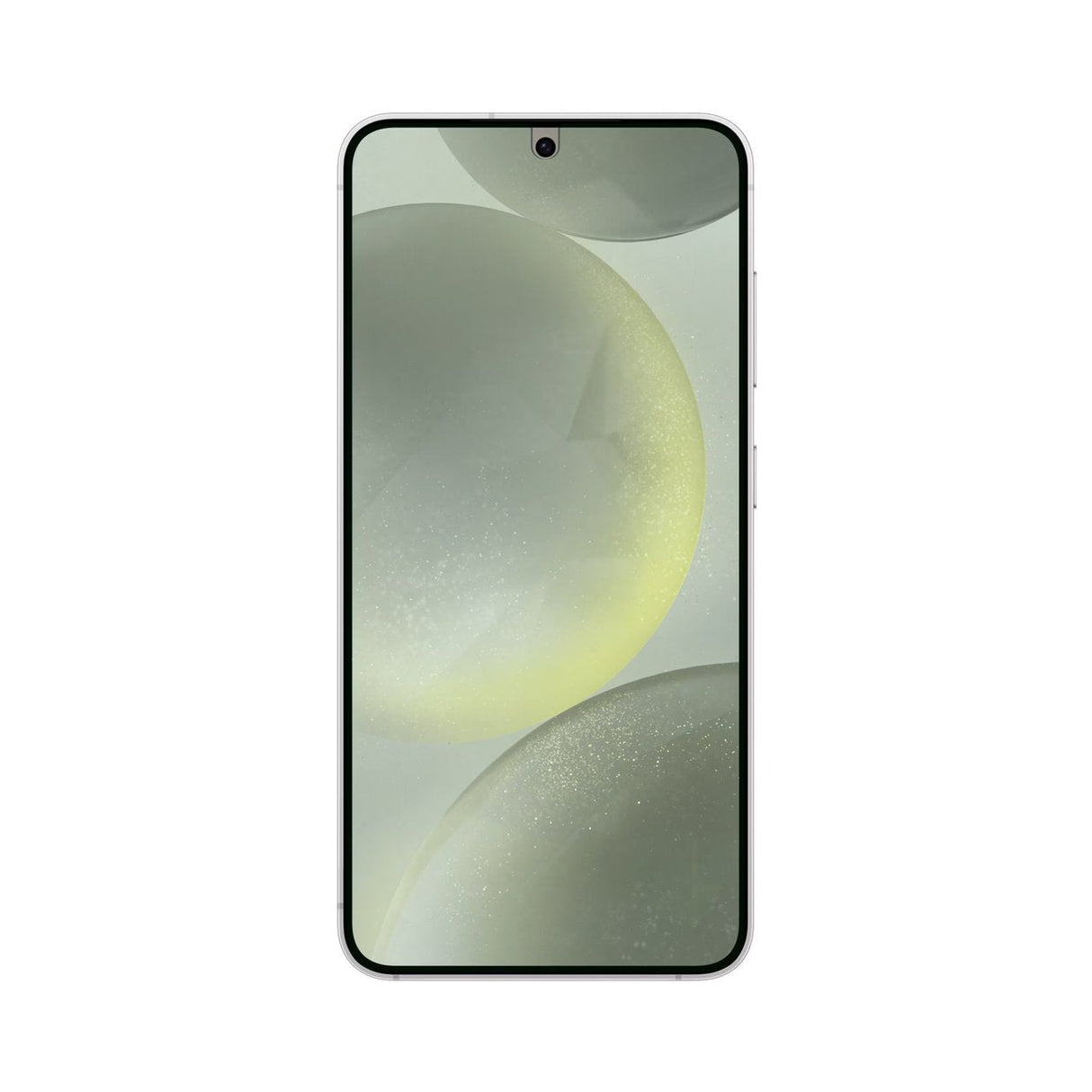 Screen Protector - Samsung S24