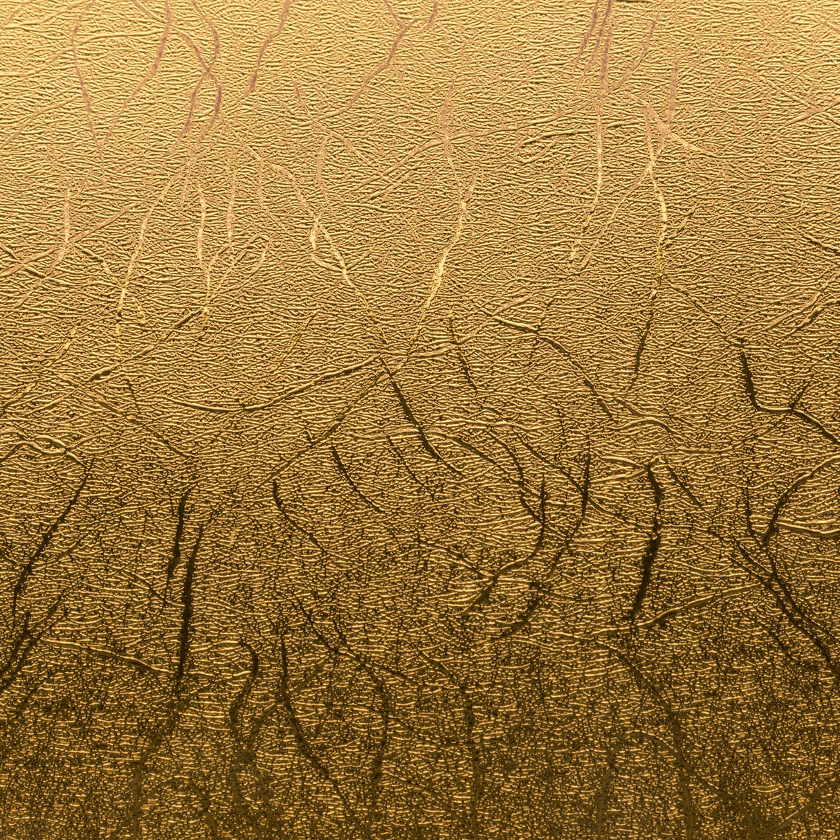 Cricut 2007741 Vinilo De Transferencia Térmica Rollo De Vinilo De Termotransferencia