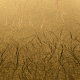 Cricut 2007741 Vinilo De Transferencia Térmica Rollo De Vinilo De Termotransferencia