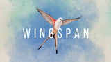 Juego Wingspan Special Edition Switch