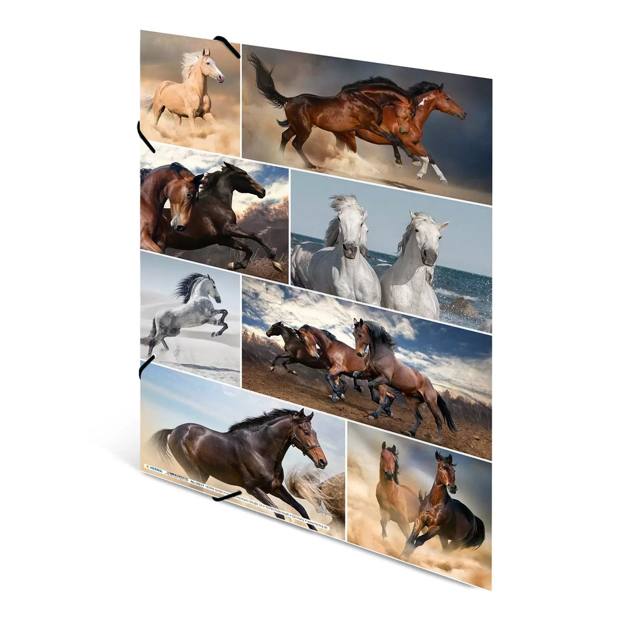Carpeta Herma A3 Caballos Cartulina
