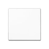 Jung A590bfww Wippe F. Schalter Taster -