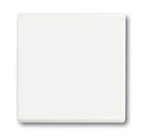 EAN 4011395129289 - Busch-Jaeger 1751-0-3027 interruptor de luz Plástico Blanco imagen 1