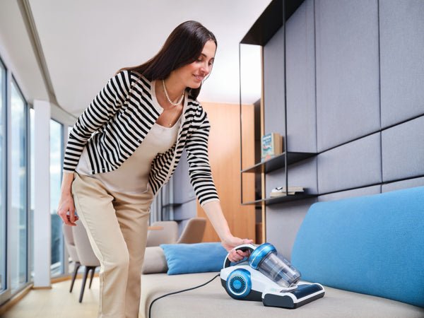 Aspiradora  Eta Eeta521590000 Para Camas, Gris Rojo