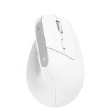 EAN 8713439253993 - Trust Bayo+ ratón Oficina mano derecha RF Wireless + Bluetooth Óptico 2400 DPI imagen 2