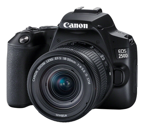 EAN 4549292132717 - Canon EOS 250D+EF-S 18-55mm Juego de cámara SLR 24,1 MP CMOS 6000 x 4000 Pixeles Negro imagen 3