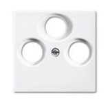 EAN 4011395190753 - Busch-Jaeger 1724-0-4335 placa de pared y cubierta de interruptor Blanco imagen 1