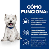 Hill S Pd Canine Derm Completo Mini 1 Kg 606429