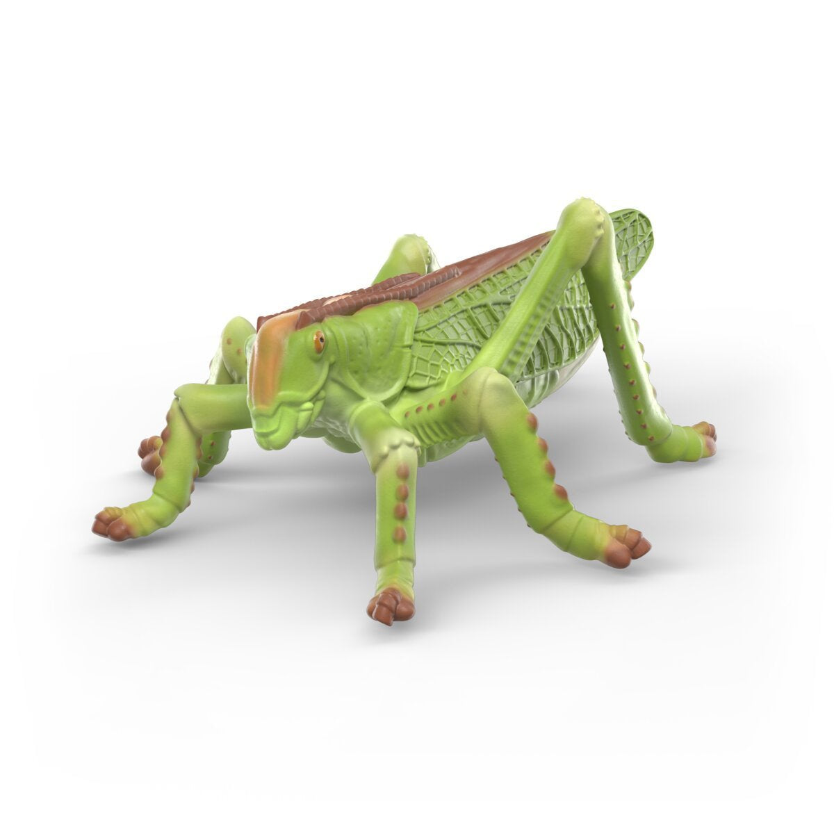 Schleich Insekten Entdecker Set 42741