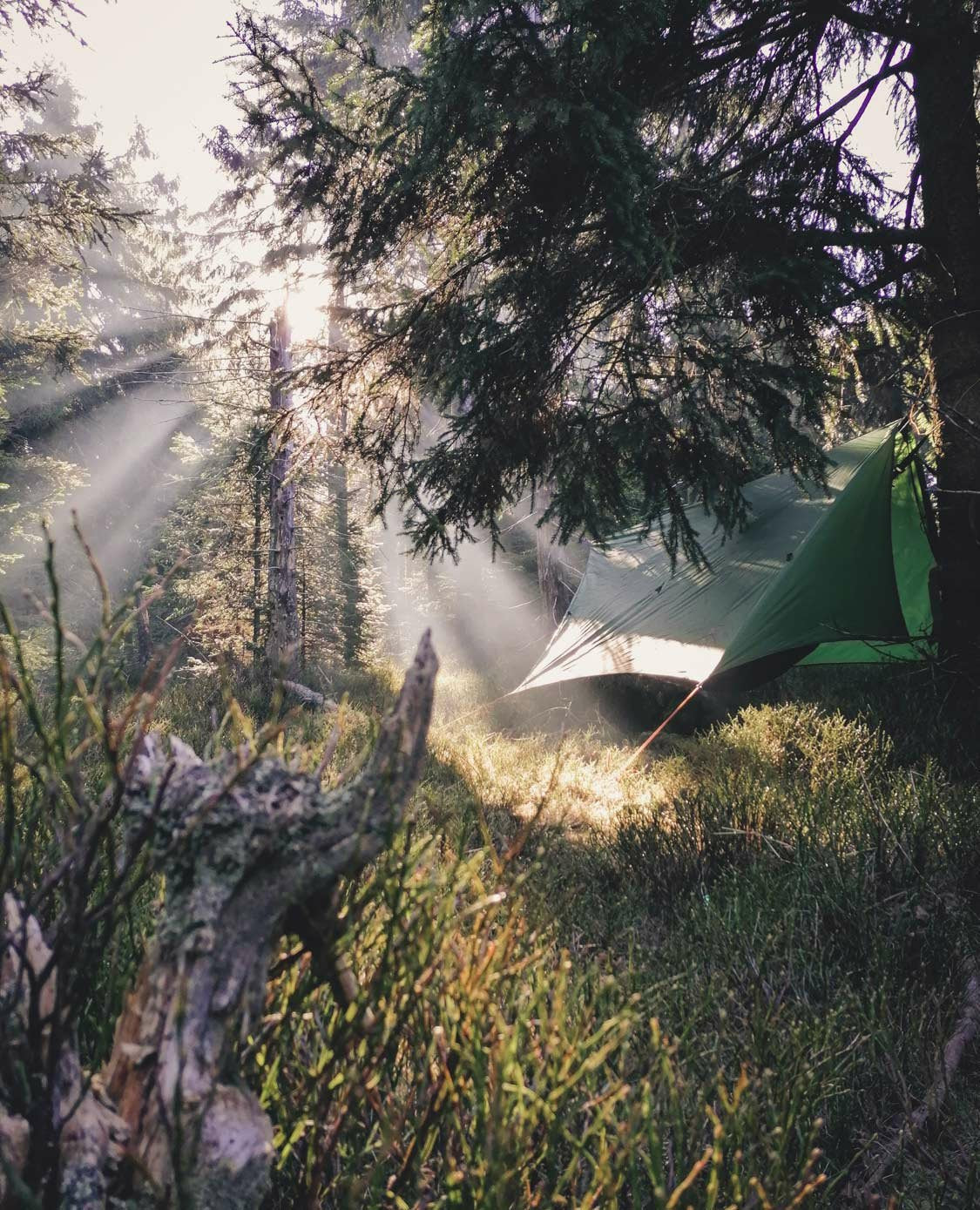 Amazonas Wing Tarp, Vela De Sombra Verde Az-3080021