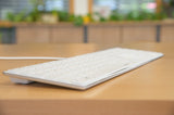 EAN 4027301255379 - SPEEDLINK SL-640010 teclado Oficina USB Alemán Blanco imagen 7