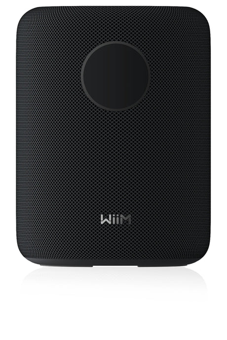EAN 0741365254560 - WiiM Sound De 2 vías Negro Inalámbrico y alámbrico 100 W imagen 2