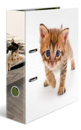 Herma Ordner A4 Karton Katze