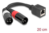 Delock Adaptercable Rj45 Buchse Zu 2 X Xlr 3 Pin Stecker Schwarz 20 Cm