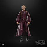Figura Hasbro Star Wars Black Series The Phantom Menace Padmé Amidala