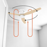 Ventilador  Pae  Techo Taurus Polar 3b 30w 132cm 3 Aspas Est9440330l