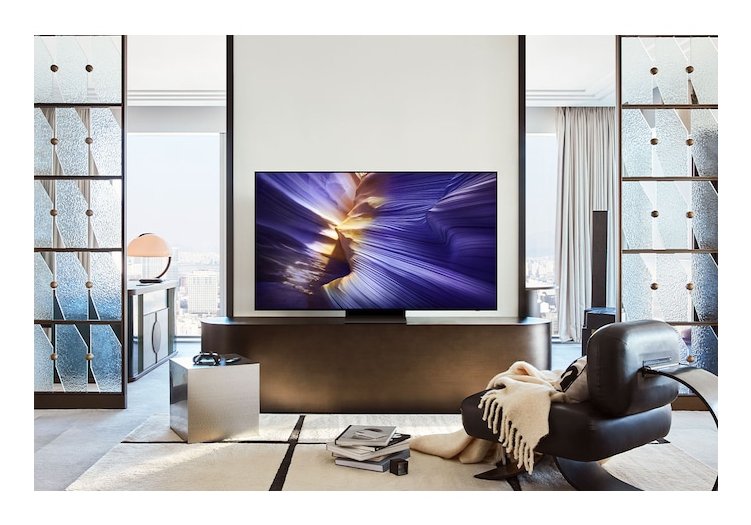 Samsung Tv (Qe48s90faexxh)