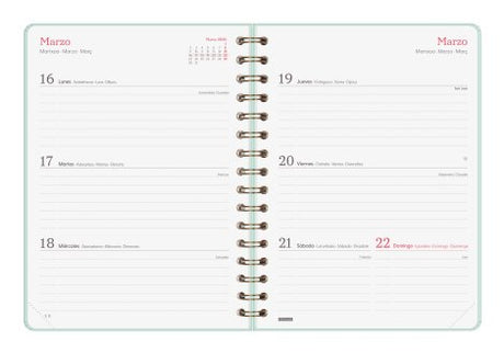 EAN 8422952405337 - Finocam 762020326 agenda Agenda diaria Color menta imagen 5