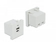 EAN 4043619813131 - DeLOCK 81313 toma de corriente USB A + USB C Blanco imagen 1