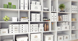 Esselte Leitz Click & Store - Medien-Caja De Almacenamiento - Capacidad: 22 Dvd, 44 Dvds (Slim Case)