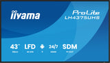 Iiyama 108cm (42,5") Lh4375uhs-B2ag 16:9 2xhdmi+3xdp+2xusb