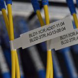 EAN 4977766847841 - Brother PT-E920BT impresora de etiquetas Transferencia térmica 360 x 360 DPI 20 mm/s Inalámbrico TZe Blue imagen 5