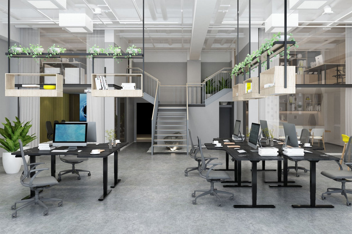 Digitus Bastidor De Mesa Eléctrico De Altura Regulable, Motor Doble, 3 Niveles, Negro