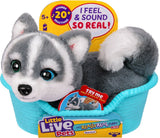 Moose Toys Ltd. Little Live Pets My Really Real S2 Puppy Mini - Aurora 26648