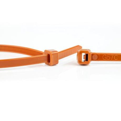 EAN 8717278572482 - WKK 110196171 presilla Brida reutilizable Plástico Marrón 100 pieza(s) imagen 2