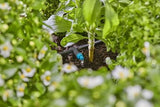 Gotero Serie Micro-Drip-System Gardena 2 L/H (Negro/Turquesa, 10 Piezas, Modelo 2023) 13317-20