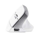 EAN 8713439253993 - Trust Bayo+ ratón Oficina mano derecha RF Wireless + Bluetooth Óptico 2400 DPI imagen 3