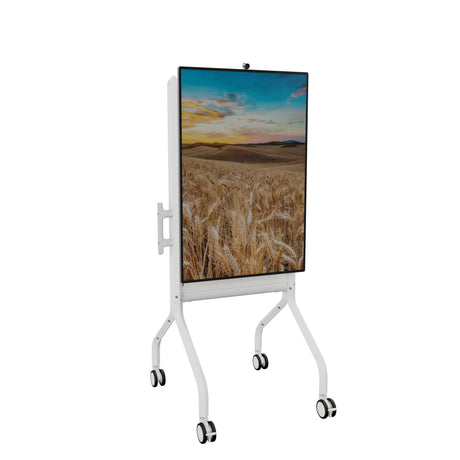 EAN 0841872176765 - Chief LSCUW soporte de equipo de audio y DVD Blanco imagen 2