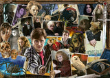 EAN 4005555004622 - Ravensburger 12000462 puzzle Puzzle rompecabezas 1000 pieza(s) Televisión/películas imagen 1