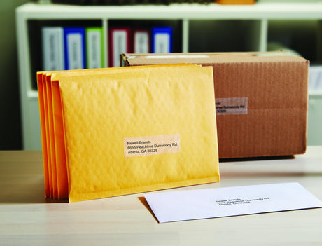 EAN 5411313990134 - DYMO LW - Large Address Labels - 36 x 89 mm - S0722410 Transparente Etiqueta para impresora autoadhesiva imagen 3