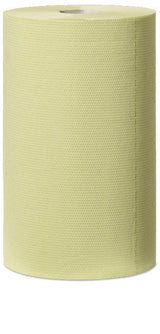Tork Putztuchrollen 2-Lagig Verde